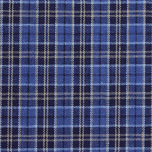 Indigo Yarn Dyed Plaid