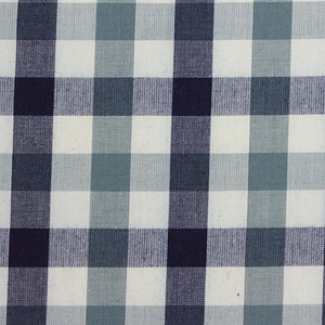 Indigo Check Shrting